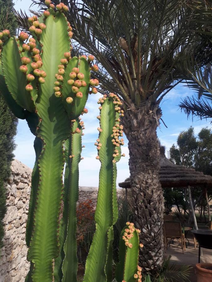 La Maison D'Helene Essaouira Ghazoua Екстер'єр фото