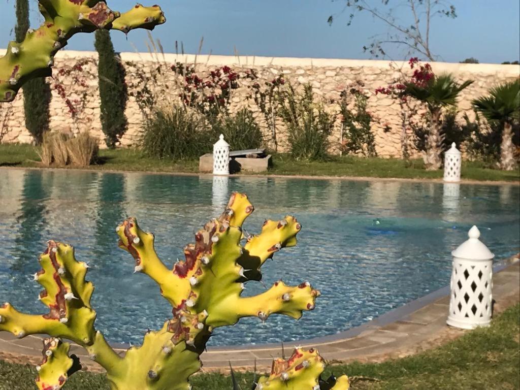 La Maison D'Helene Essaouira Ghazoua Екстер'єр фото